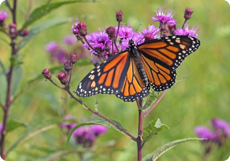 Tips to Becoming a Teacher in 2023